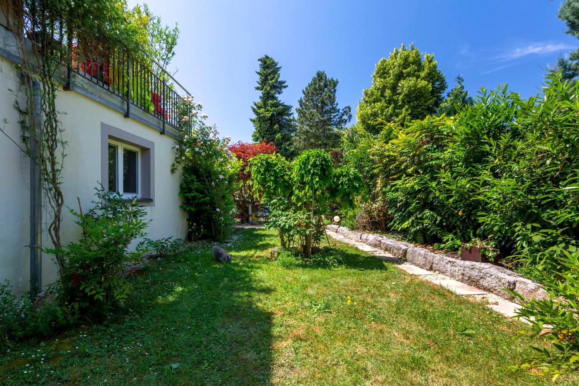 Bnb Comfort Guesthouse Olten - Lostorf 외부 사진